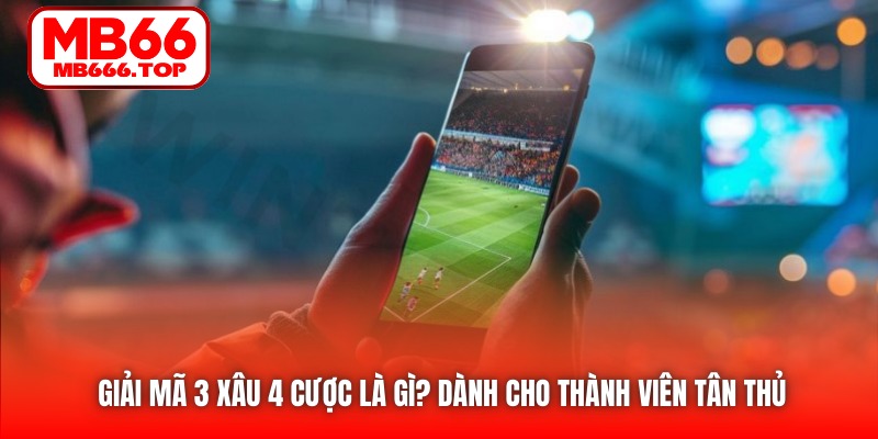 Giải Mã 3 Xâu 4 Cược Là Gì? Dành Cho Thành Viên Tân Thủ