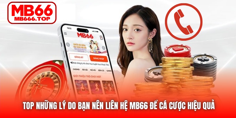 Top những lý do bạn nên liên hệ MB66 để cá cược hiệu quả